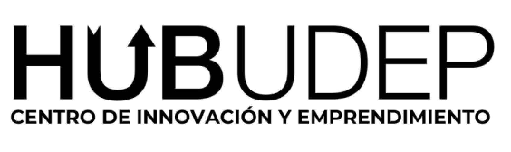 hubudep-logo-gris